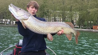 BROCHET GEANT 1m34 Lac de Nantua [upl. by Ranjiv]