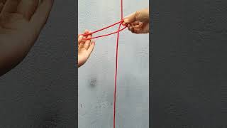 Truckers hitch knotRope hacks knots [upl. by Ollehcram778]