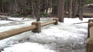 Yosemite Nature Notes  9  Frazil Ice [upl. by Brag]