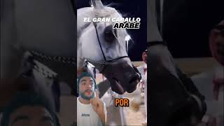 🏆 Elegancia del Caballo Árabe 🐎fypシ fypviralシ caballos animals [upl. by Roselle]