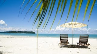 6 Perfect Honeymoon Destinations in Malaysia [upl. by Yelnet606]