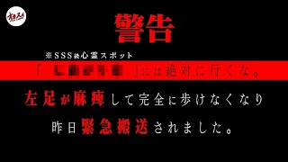 【心霊】この心霊スポットには絶対に近付くな！本当に死にかけた一部始終をお伝えします【長野心霊】【ぷち掃除】 [upl. by Serdna]