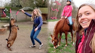 Feline rijdt mijn paarden en vrijheidsdressuur met GEIT en KIP  Weekvlog 161 [upl. by Nimaynib]