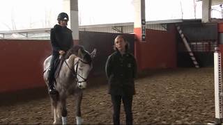 Lezioni Equitazione  Salto ostacoli tecnica equestre  Cavallo 4 anni i primi salti al galoppo [upl. by Notnirt]