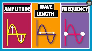 Wavelength Frequency Time Period and Amplitude  Physics [upl. by Eural714]