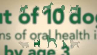 The Ins and Outs of GREENIES® Dental Chews [upl. by Asamot]