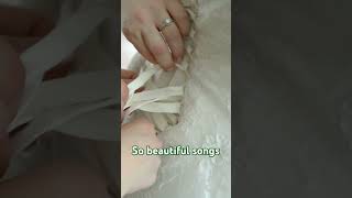 So beautiful songs ishq shorts viralvideo asadujjamantravelvlog [upl. by Mireille]