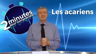 Les acariens  2 minutes pour comprendre [upl. by Troc]