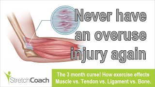 Muscle vs Tendon vs Ligament vs Bone and the 3 month curse [upl. by Nosnek]