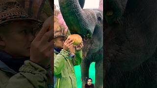 Eating elephant trending short viral video [upl. by Tniassuot]