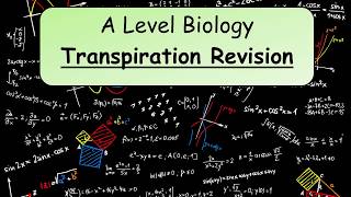 A Level Biology Transpiration revision [upl. by Gesner]