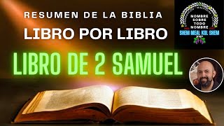 Libro de 2 SAMUEL Resumen de la Biblia Libro por Libro [upl. by Nattirb]