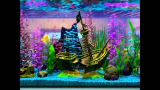 Finding Nemo Virtual Aquarium Shipwreck Day [upl. by Blythe]