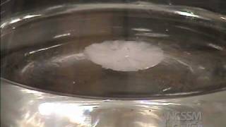 Sodium Acetate Crystals Supersaturated Solution [upl. by Dduj195]