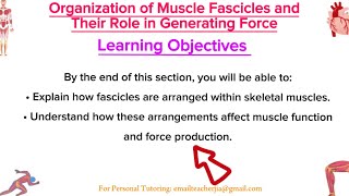 Muscle Fascicle Patterns Explained How They Influence Force Generation [upl. by Ethelstan]