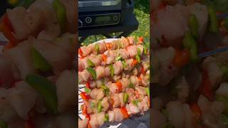 Brochettes poulet 🍗 ninja Woodfire outdoor woodfire bbq [upl. by Leaffar]