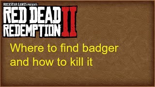 Red dead redemption 2 how to get and find perfect badger pelt and where [upl. by Ausoj]