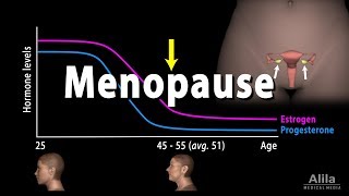 Menopause Perimenopause Symptoms and Management Animation [upl. by Ahsiaa]