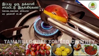 Tree tomato chutney recipe  மர தக்காளி சட்னி  Tamarillo chutney recipe  Tree tomato chutney tamil [upl. by Nauqat]