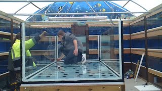 Building a monster aquarium 700gal Unedited [upl. by Yenduhc178]