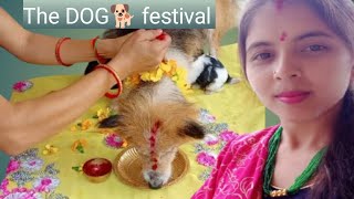 The dog festival  kukur puja [upl. by Fosdick863]