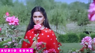 Humrahi Mere Humrahi  Audio Song  Do Dilon Ki Dastaan  Lata Mangeshkar Suresh Wadkar [upl. by Demy]