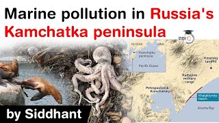 Marine pollution in Russias Kamchatka peninsula  Mass deaths of marine animals discovered [upl. by Aicre634]