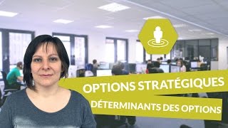 Les principales options stratégiques des entreprises  déterminants des options stratégiques [upl. by Ahsinauj132]