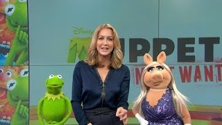 Something Is Not Quite Right With Kermit on GMA [upl. by Eillac]