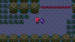 Playing Pokémon Exceeded Emerald 2 Squirming Through the Petalburg Woods [upl. by Paehpos]