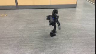 ROBOTIS  Humanoid Walking Test [upl. by Straus703]