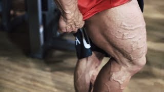 TREINO DE PERNAS  LEG DAY WORKOUT [upl. by Ellenhoj]