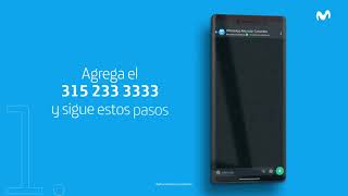 Consulta la cuenta de correo asociada a Movistar TV App desde nuestro WhatsApp Movistar [upl. by Eirrahs484]