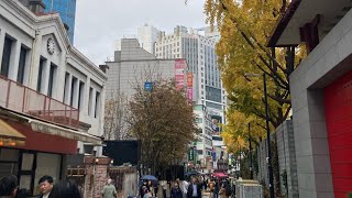 South Korea PART 2  Nov 2Nov 3 2023  SOMOFLO [upl. by Iclek]