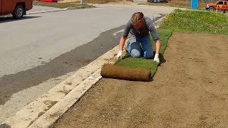 Sod Install [upl. by Hanid]