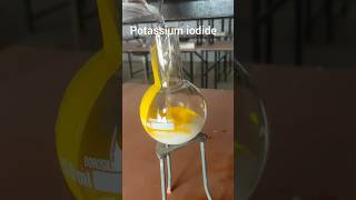 Lead nitrate reaction with kl chemistry ytshorts viralvideo trending organicchemistry [upl. by Nnawtna913]