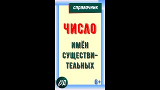 Число имен существительных [upl. by Eddie]