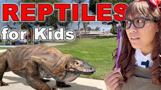 Reptile Stories for Kids  Soso Reptiles Toys Come To Life [upl. by Mosley544]