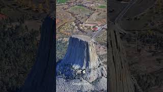 Devils Tower Natural Wonder or Prehistoric Giant Tree shorts devilstower wyoming usa fyp [upl. by Adiuqram492]