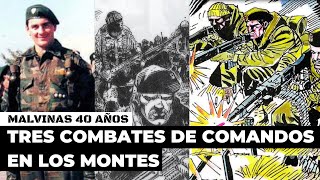 Malvinas  Tres combates de comandos en los montes [upl. by Eadrahc]