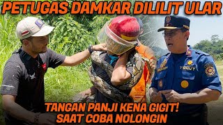 SAMPE BERDARAH  PANJI GAGAL MENGHINDAR SAAT AKAN MEMEGANG KEPALA ULAR PYHTON [upl. by Eiral]