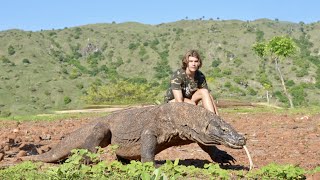 Surviving 24 Hours on KOMODO ISLAND Challenge Komodo Dragon [upl. by Nevins]