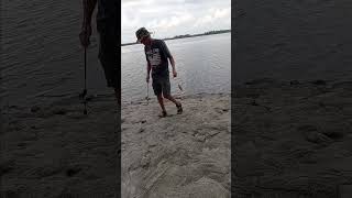 Crevalle Jack  Shired Island Fl on a rooster tail lure fishing crevallejack shiredislandfl [upl. by Ynots]