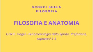 Hegel  Filosofia e anatomia [upl. by Greiner]