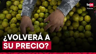 Procitrus Producción de limón se regularizará en octubre [upl. by Weld]