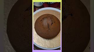 🎂CHOCOLATE CAKE SPONGE 🥮shorts youtubeshorts chocolatecake [upl. by Warfourd624]