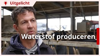 Uitgelicht  Waterstof produceren op melkveebedrijf [upl. by Esiuqram]