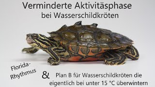 Verminderte Aktivitätsphase für Wasserschildkröten [upl. by Soble830]