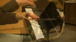 Chopin  Ballade No 1 in G minor Samnon [upl. by Holden]