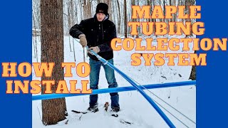 How To Install a Maple Tubing Collection System Updated [upl. by Assenov]